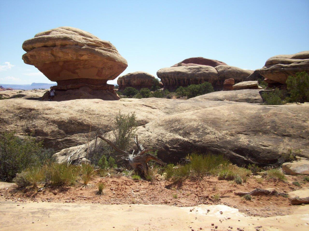 Canyonlands National Park/Elephant Trail