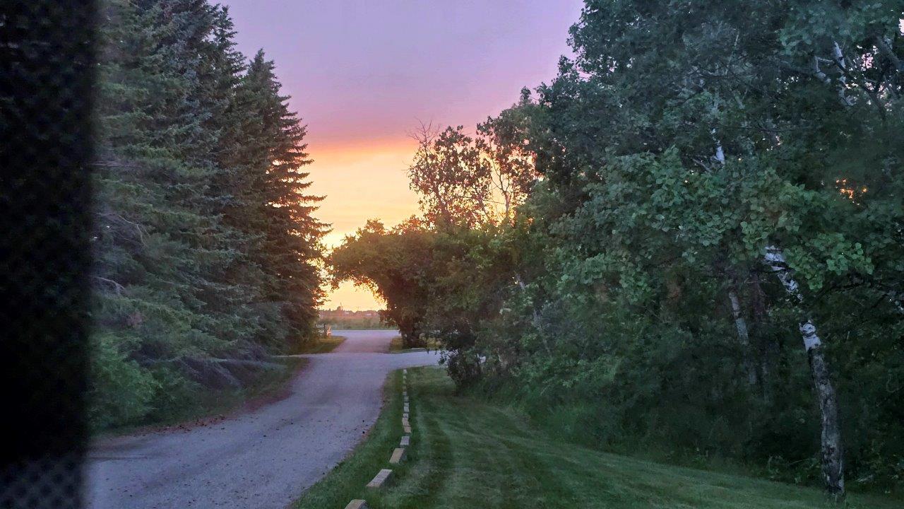 20250626_210956 – copy
