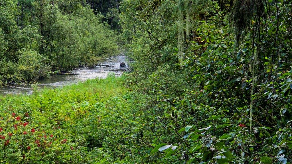20250817_182855