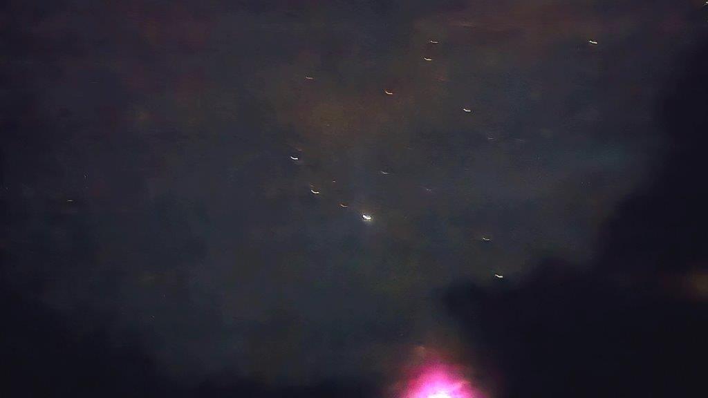 20251022_012902