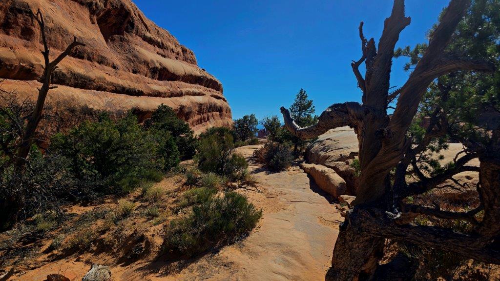 20251029_120558