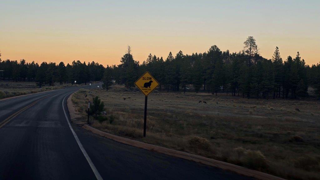 20251103_172603