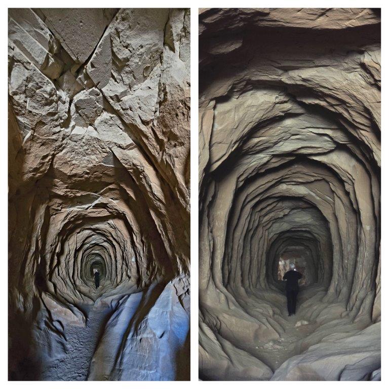 collage_1