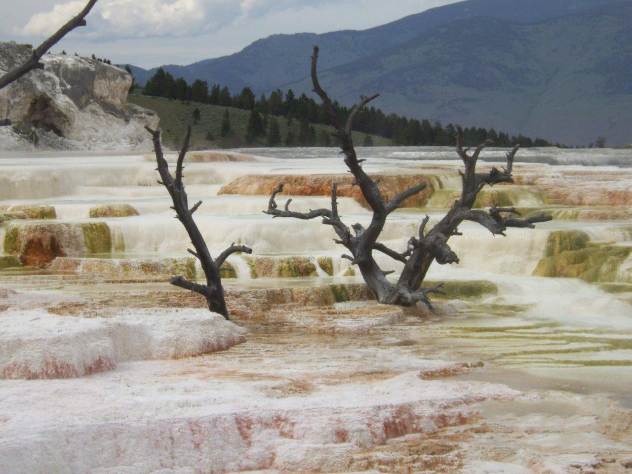 Yellowstone 
