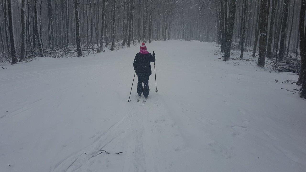 Cross-country skiing in Little Carpathians Pezinska Baba