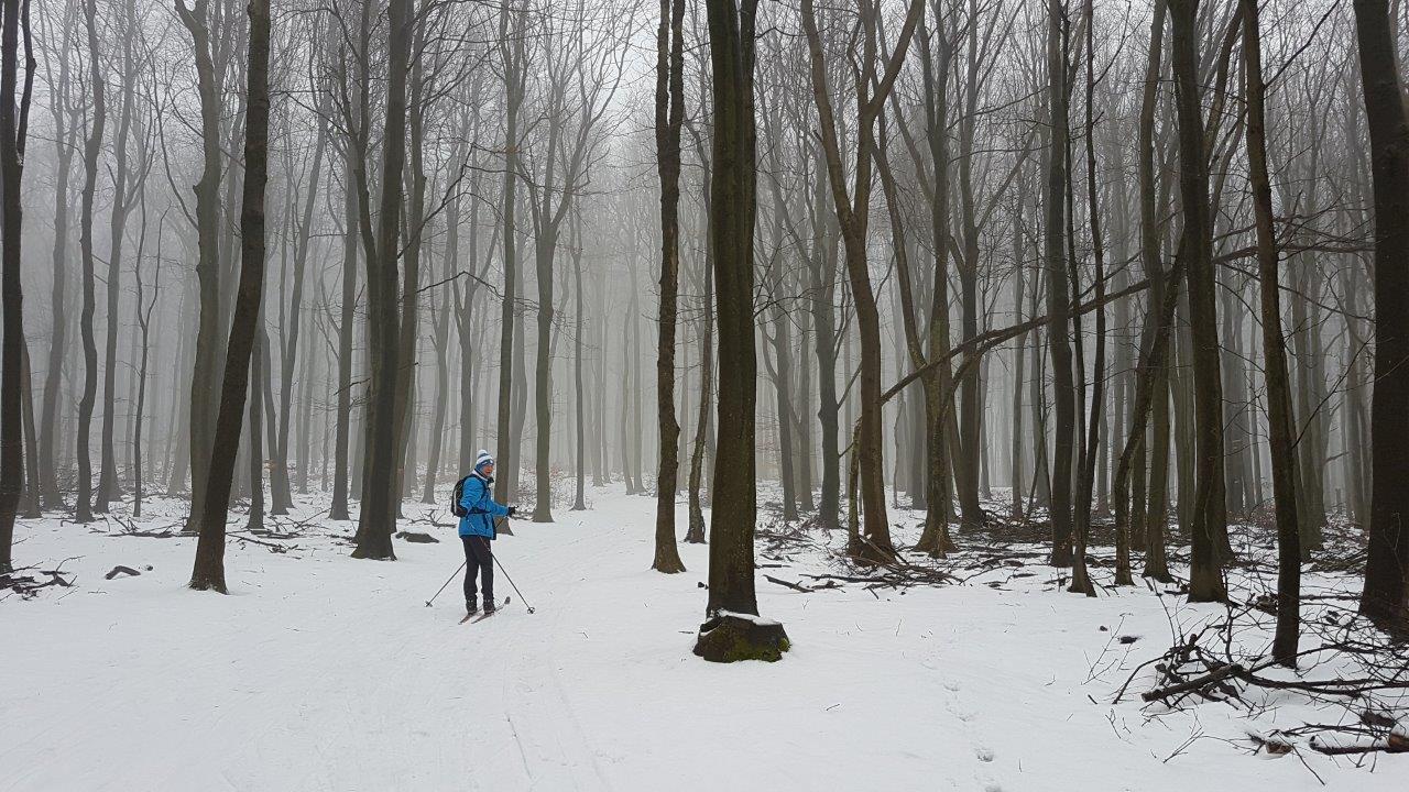 Cross-country skiing in Little Carpathians Pezinska Baba