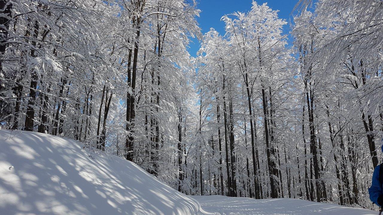Cross-country skiing Skalka in Kremnicke Vrchy