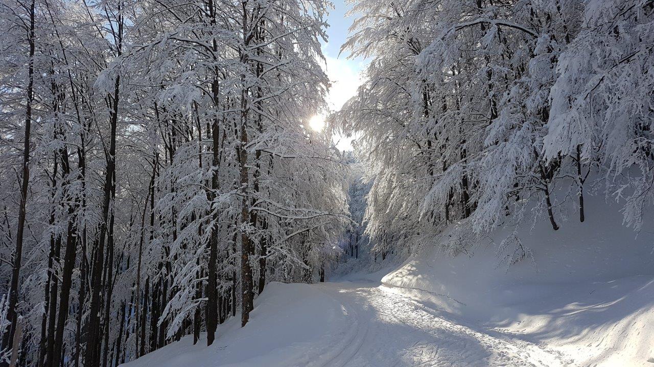 Cross-country skiing Skalka in Kremnicke Vrchy
