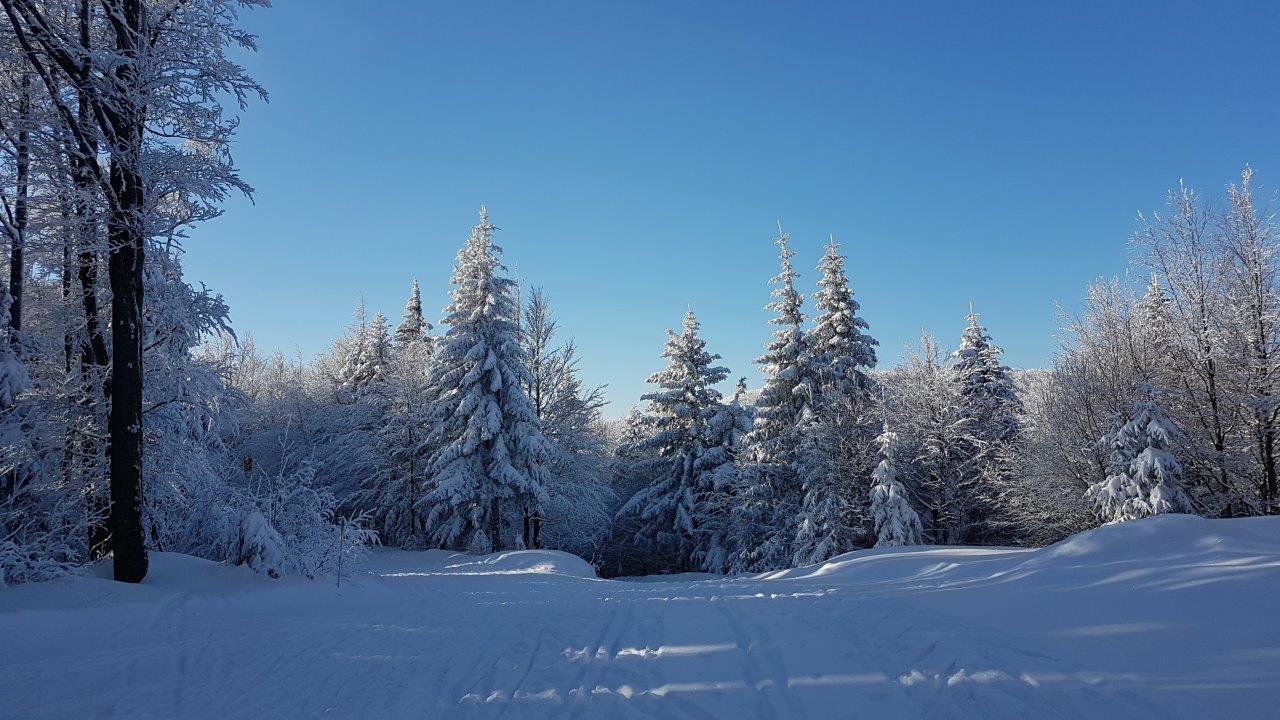 Cross-country skiing Skalka in Kremnicke Vrchy