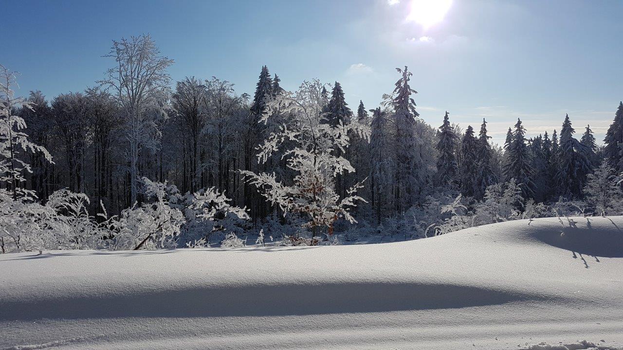 Cross-country skiing Skalka in Kremnicke Vrchy