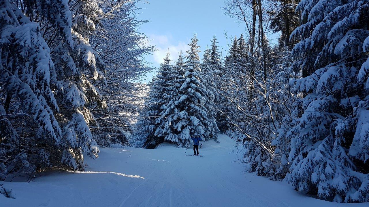 Cross-country skiing Skalka in Kremnicke Vrchy
