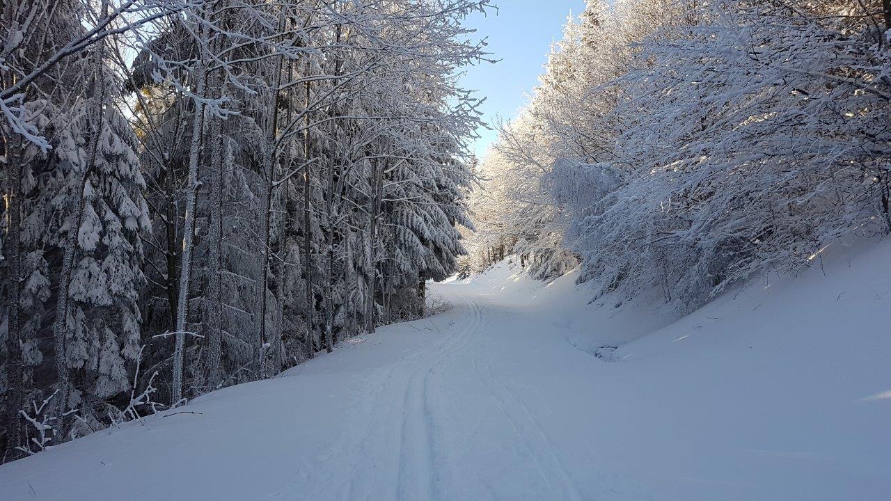 Cross-country skiing Skalka in Kremnicke Vrchy
