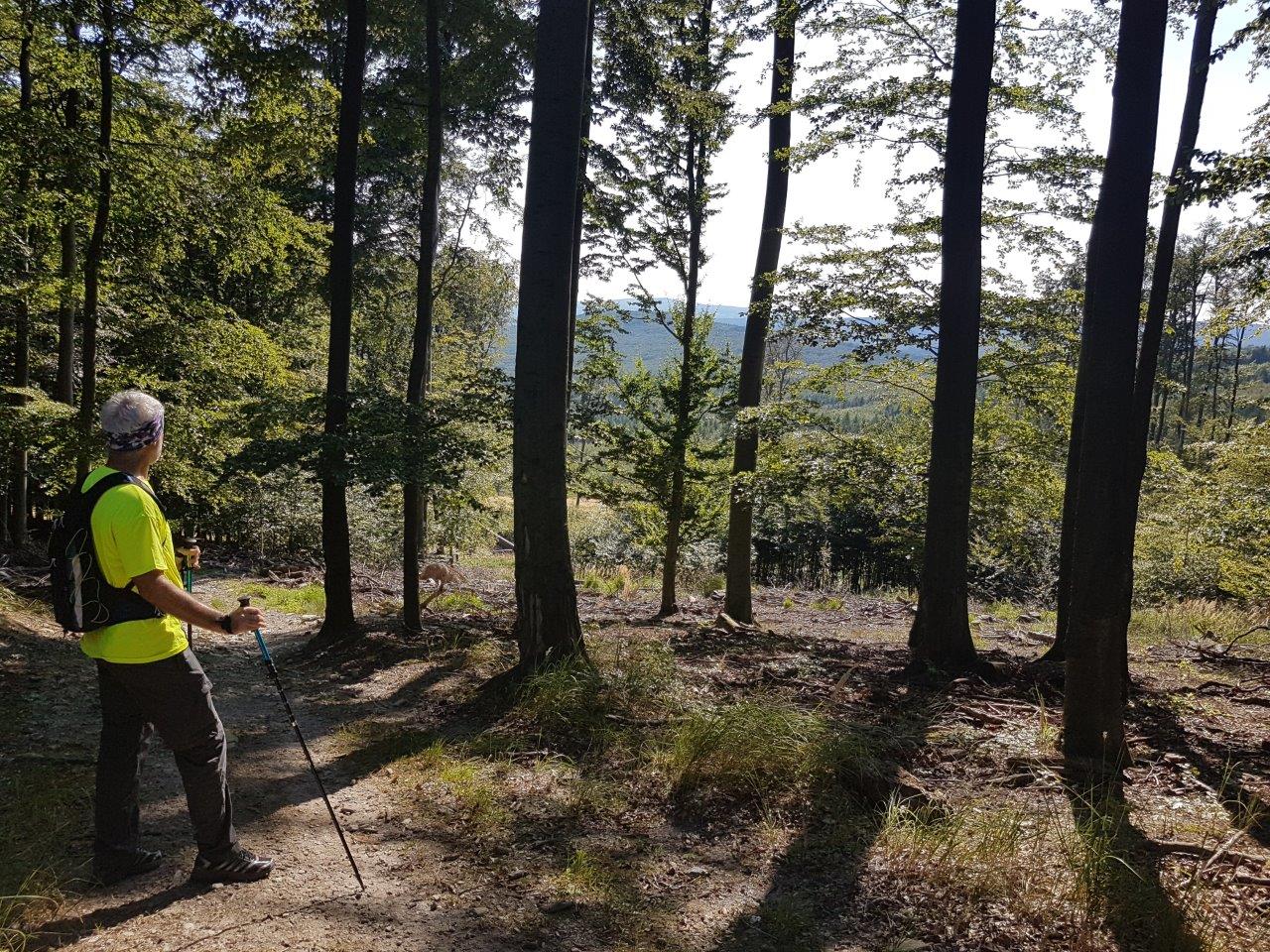 Velka Homola Hike in the Little Carpathians