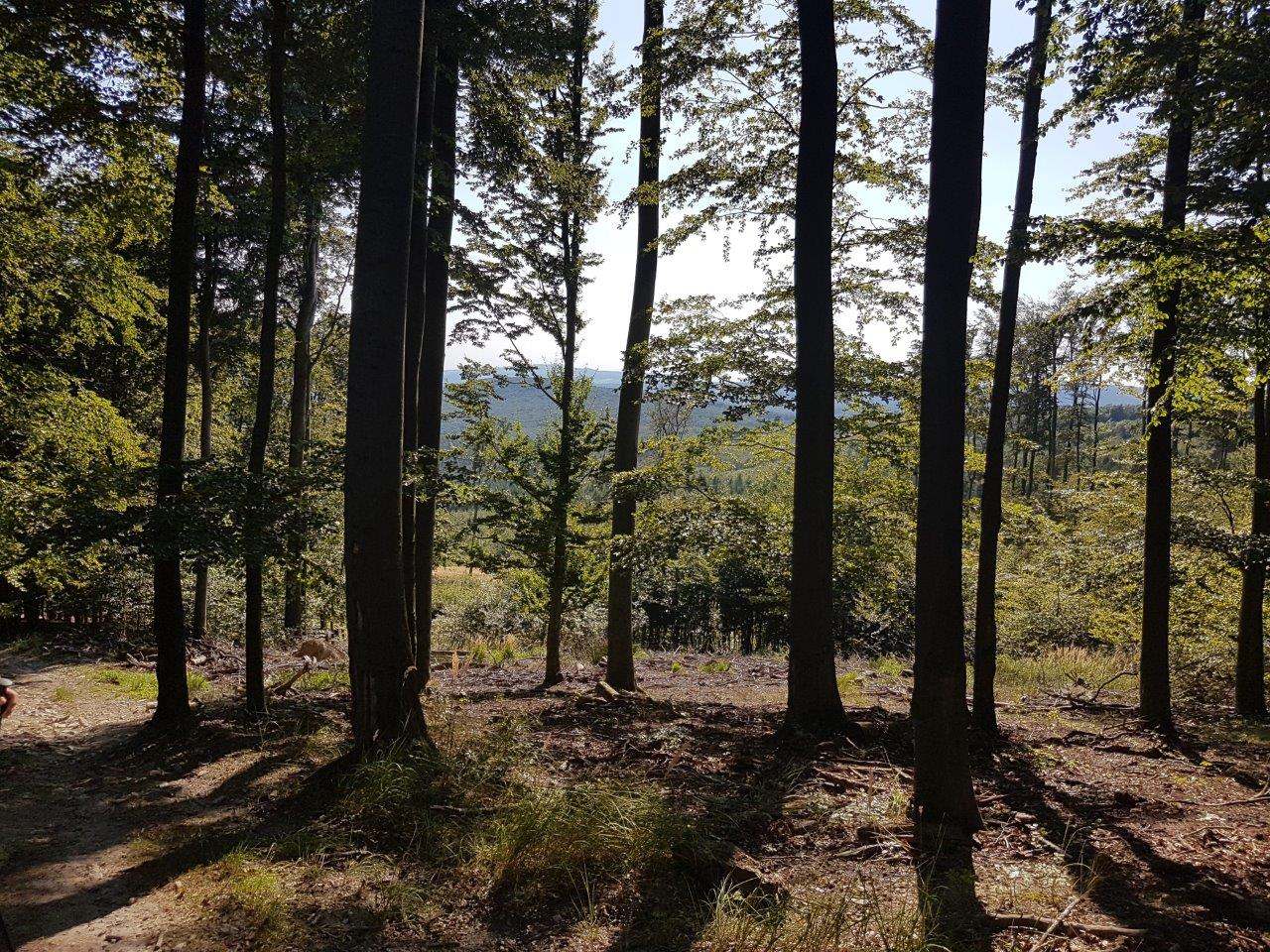 Velka Homola Hike in the Little Carpathians