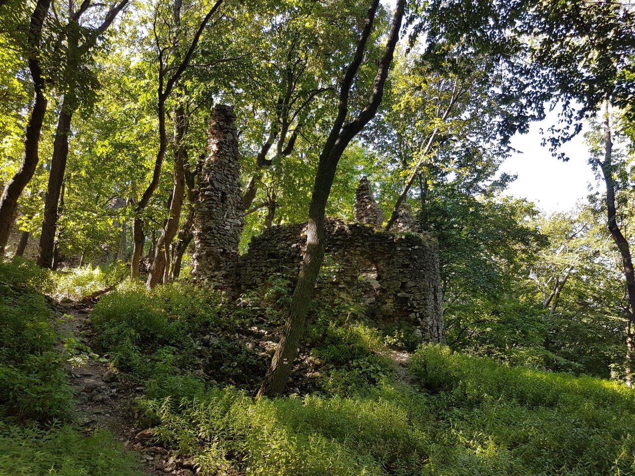 Ascent to Zaruby - the highest peak of the Little Carpathians
