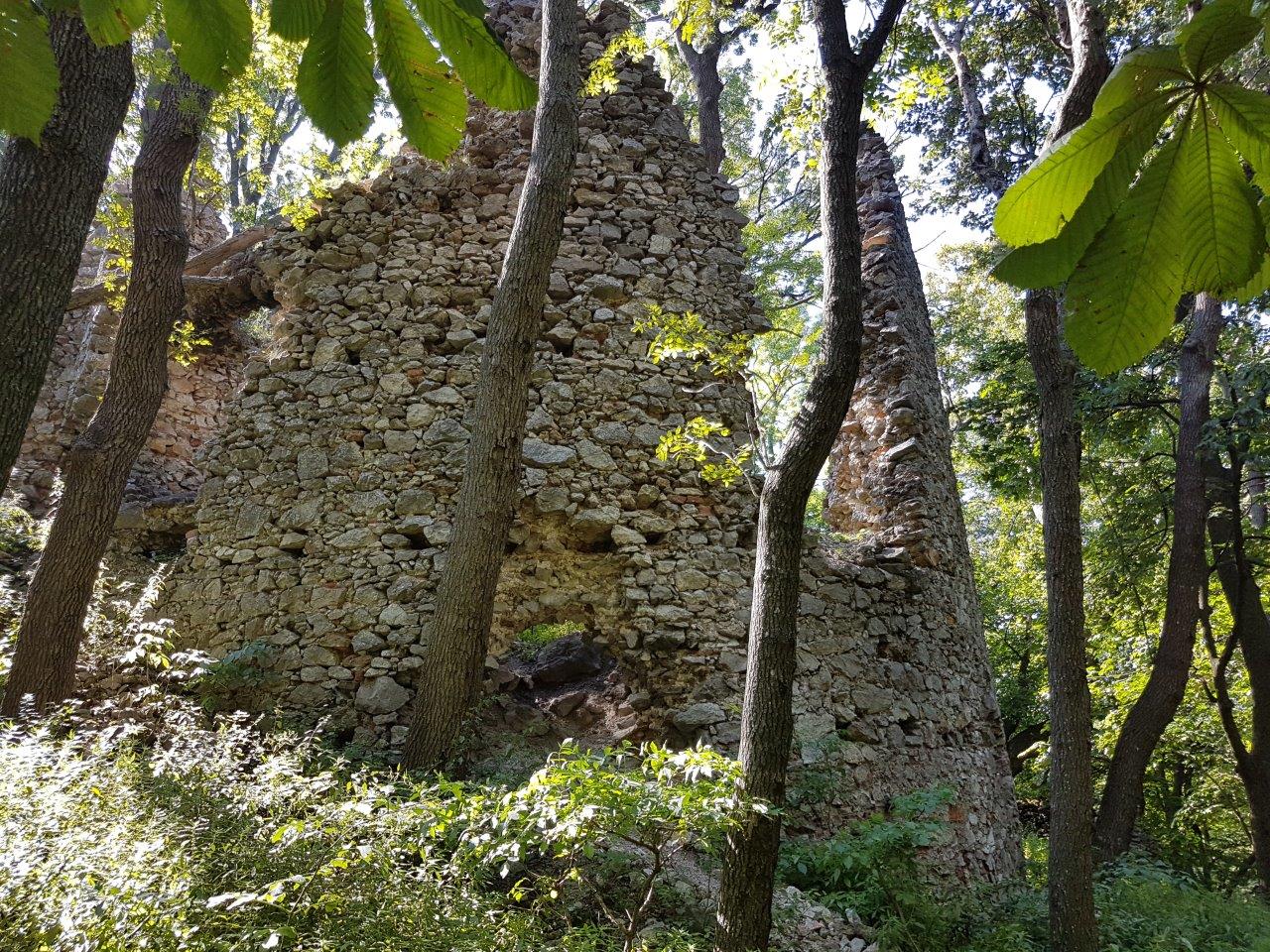 Ascent to Zaruby - the highest peak of the Little Carpathians