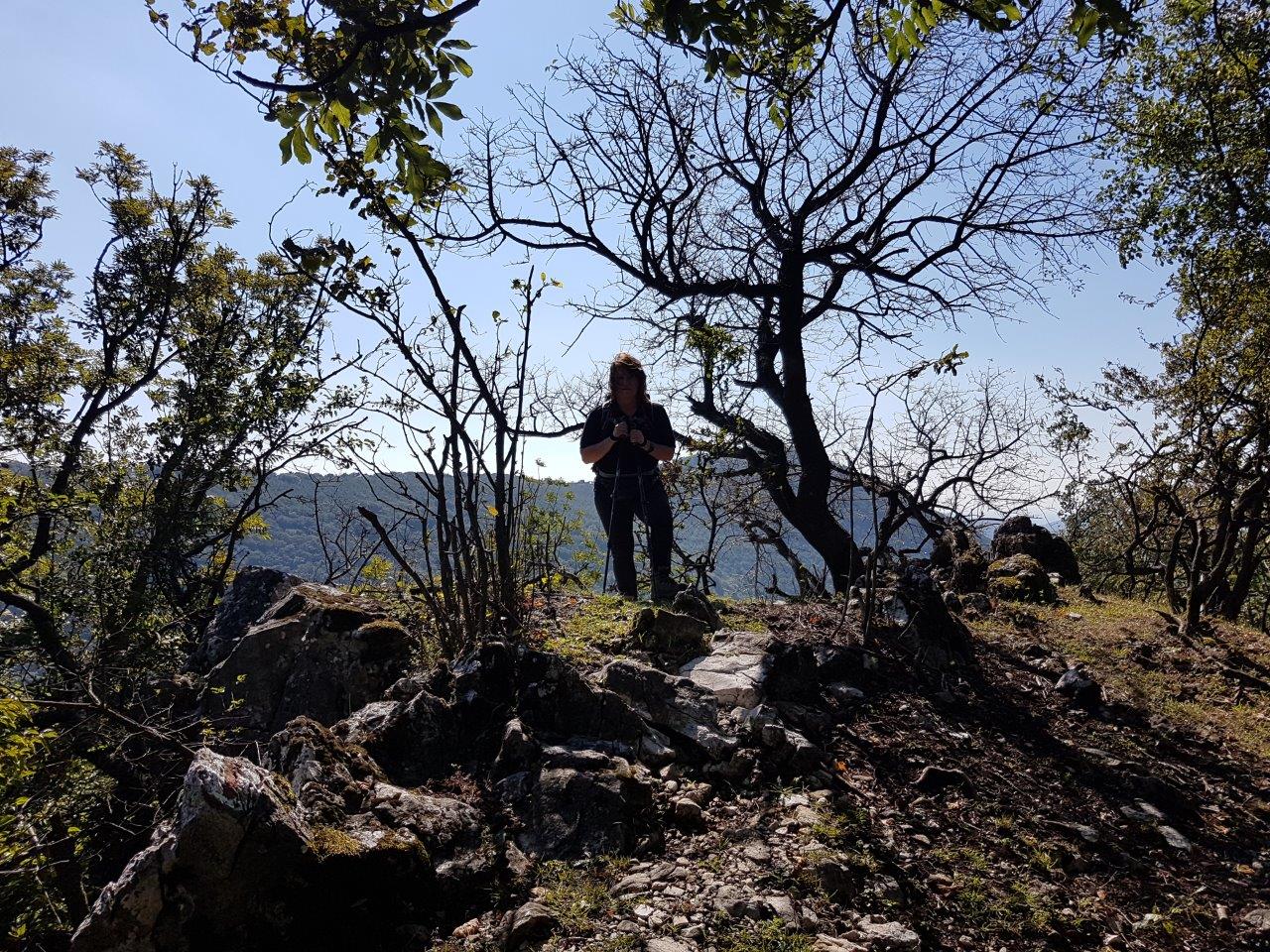 Ascent to Zaruby - the highest peak of the Little Carpathians