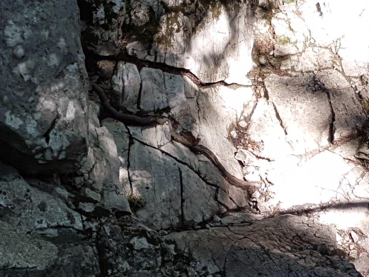 Ascent to Zaruby - the highest peak of the Little Carpathians