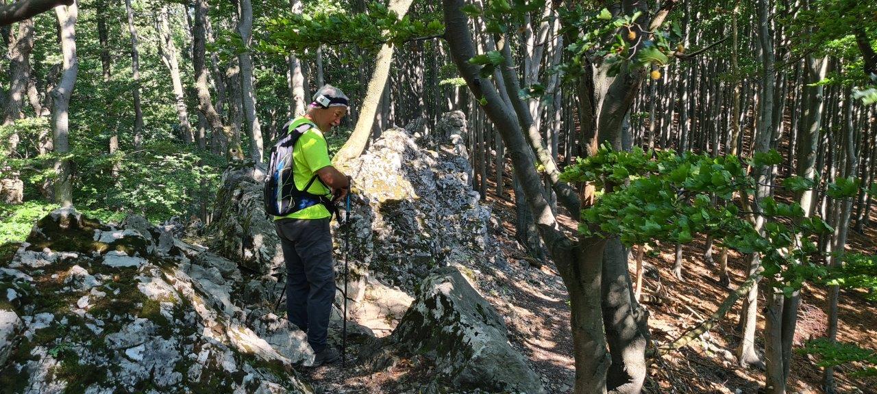Ascent to Zaruby - the highest peak of the Little Carpathians