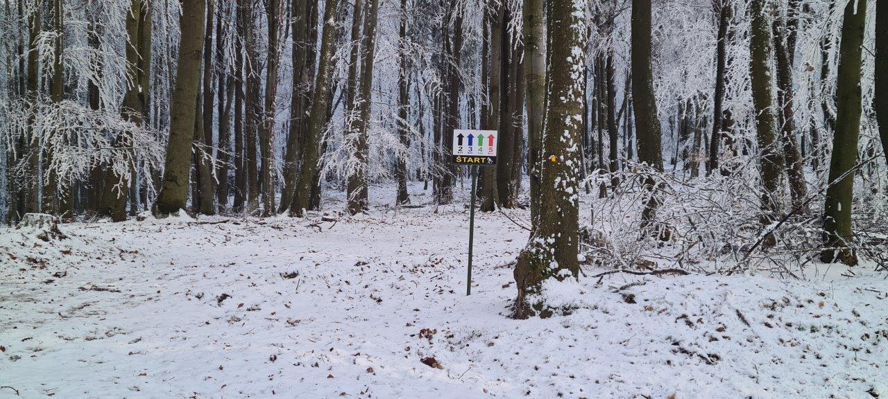 Cross-country skiing in Little Carpathians Pezinska Baba