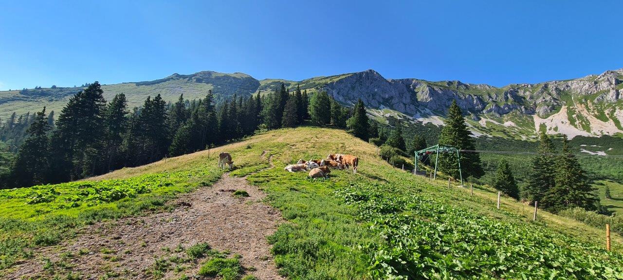 Hohe Veitsch Hike