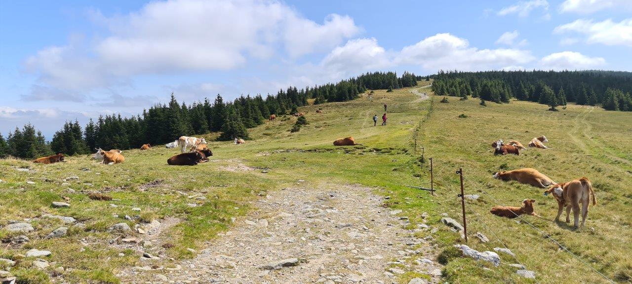 Hochwechsel Hike