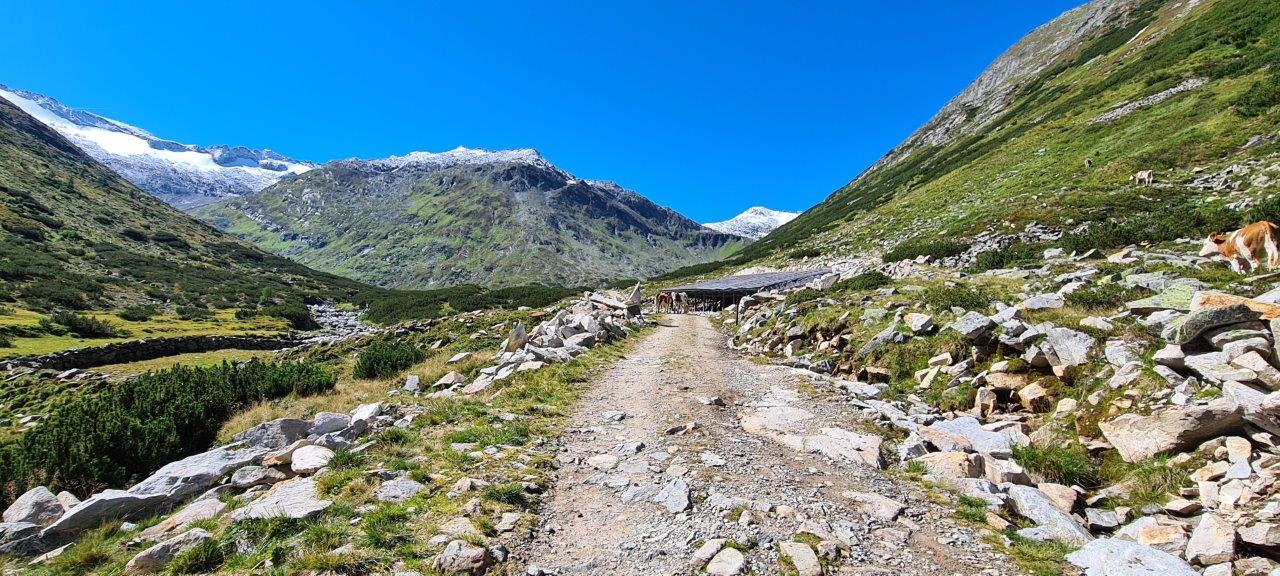 Schwarzhornseen Hike