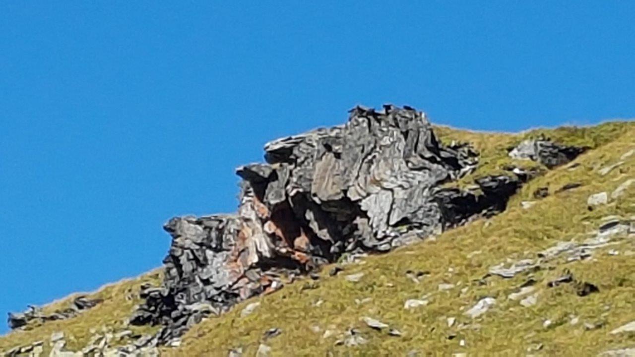 Schwarzhornseen Hike