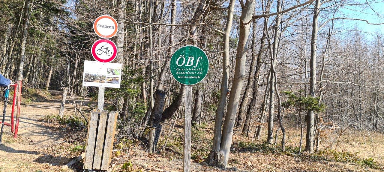 Schöpfl Hike in Vienna Woods