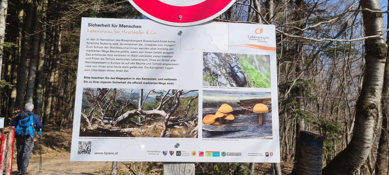 Schöpfl Hike in Vienna Woods