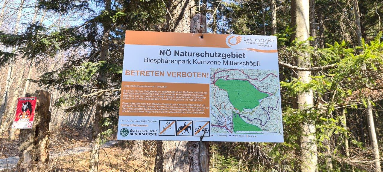 Schöpfl Hike in Vienna Woods