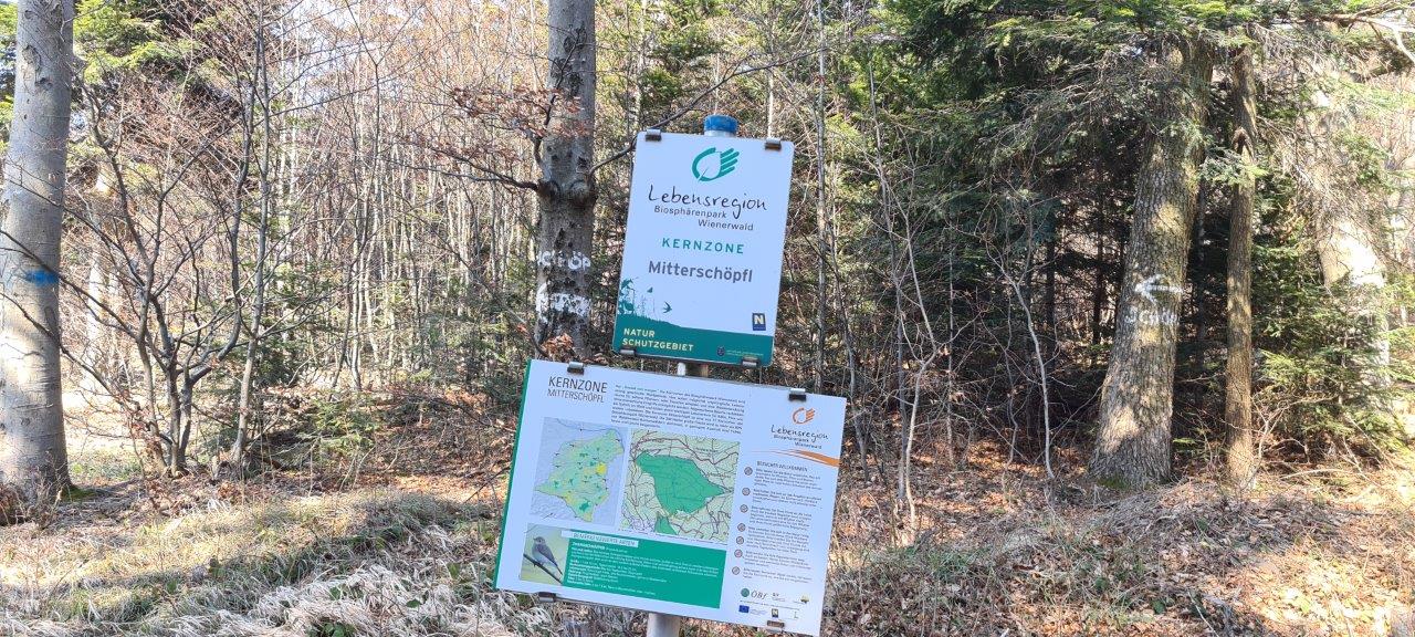 Schöpfl Hike in Vienna Woods