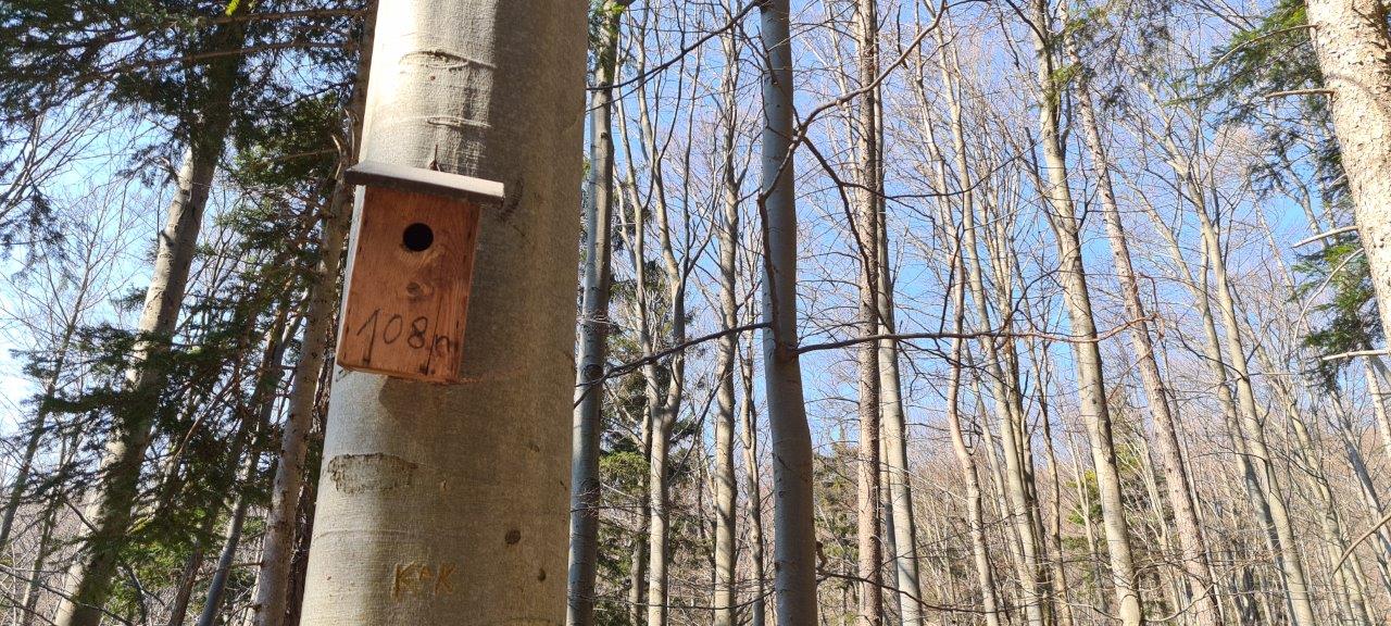 Schöpfl Hike in Vienna Woods