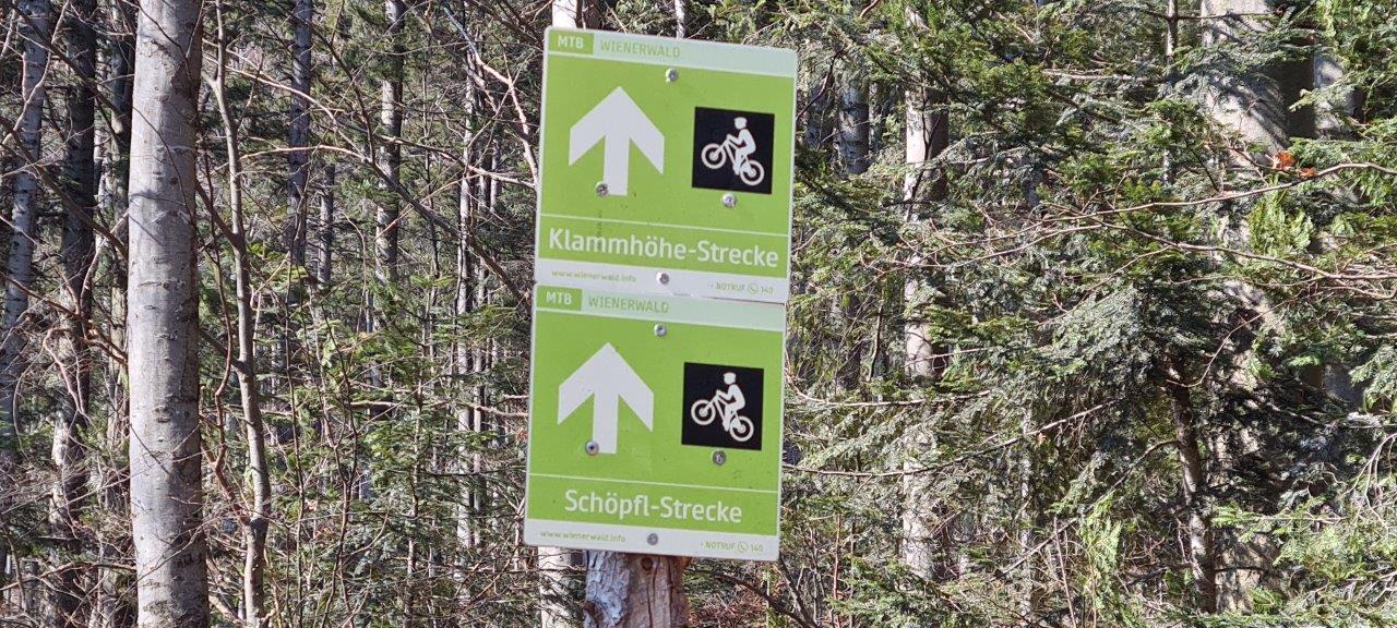 Schöpfl Hike in Vienna Woods