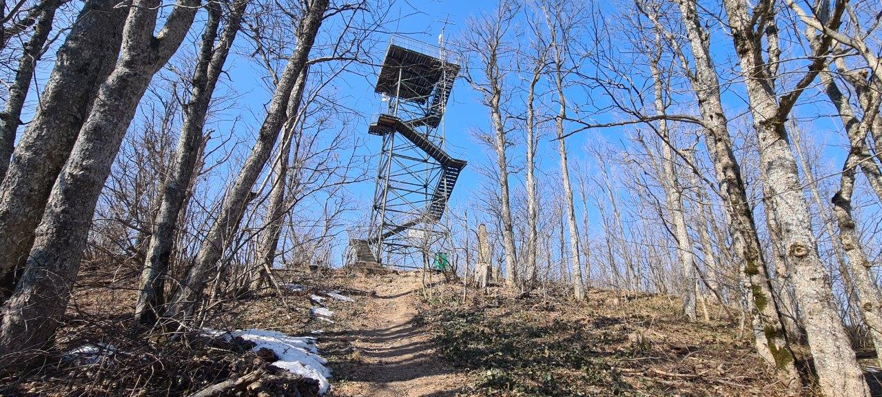 Schöpfl Hike in Vienna Woods