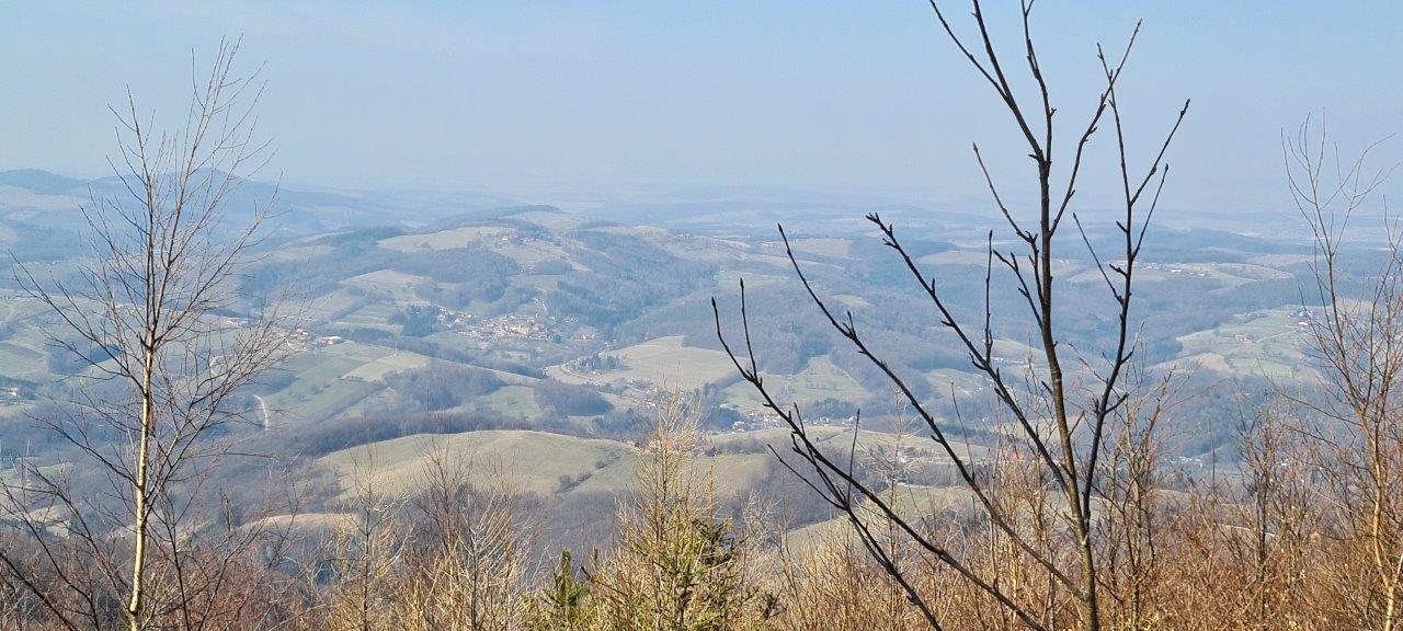 Schöpfl Hike in Vienna Woods