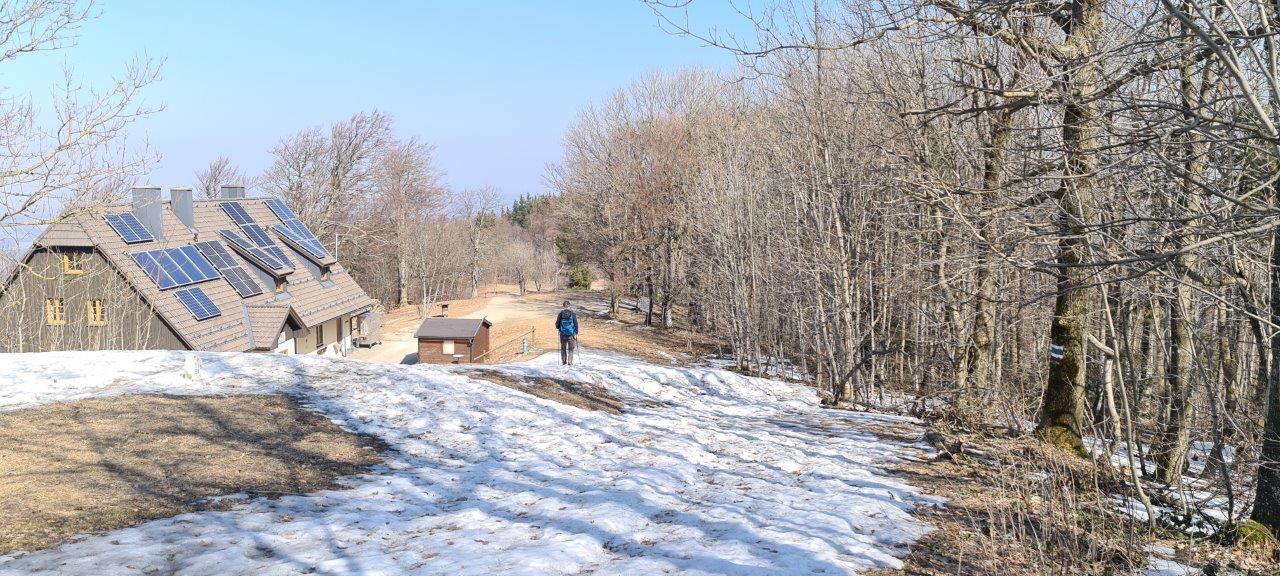 Schöpfl Hike in Vienna Woods