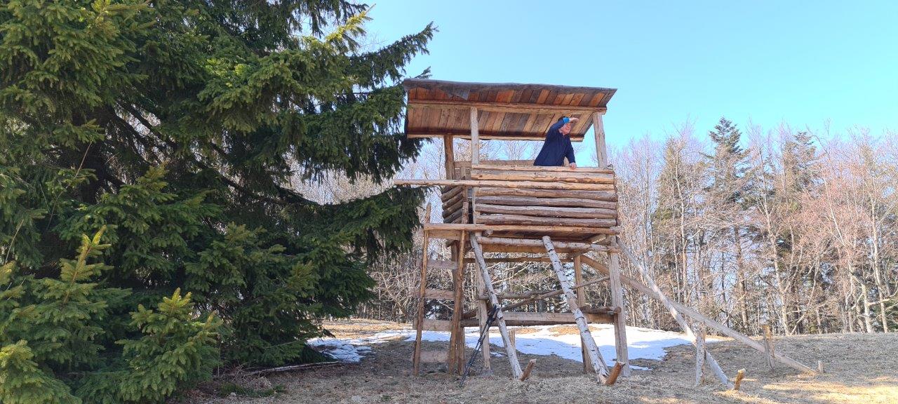 Schöpfl Hike in Vienna Woods