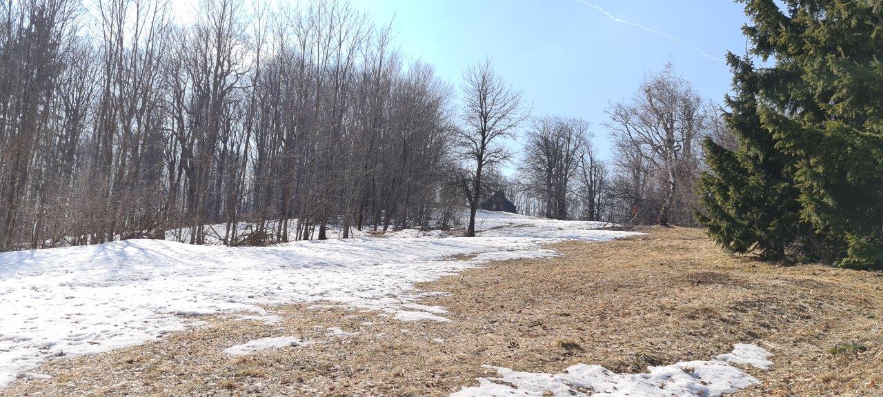 Schöpfl Hike in Vienna Woods