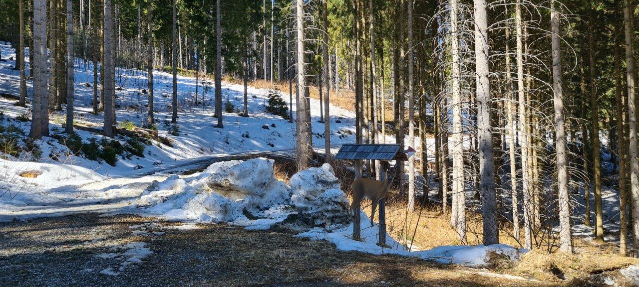 Hocheck Romantic Hike