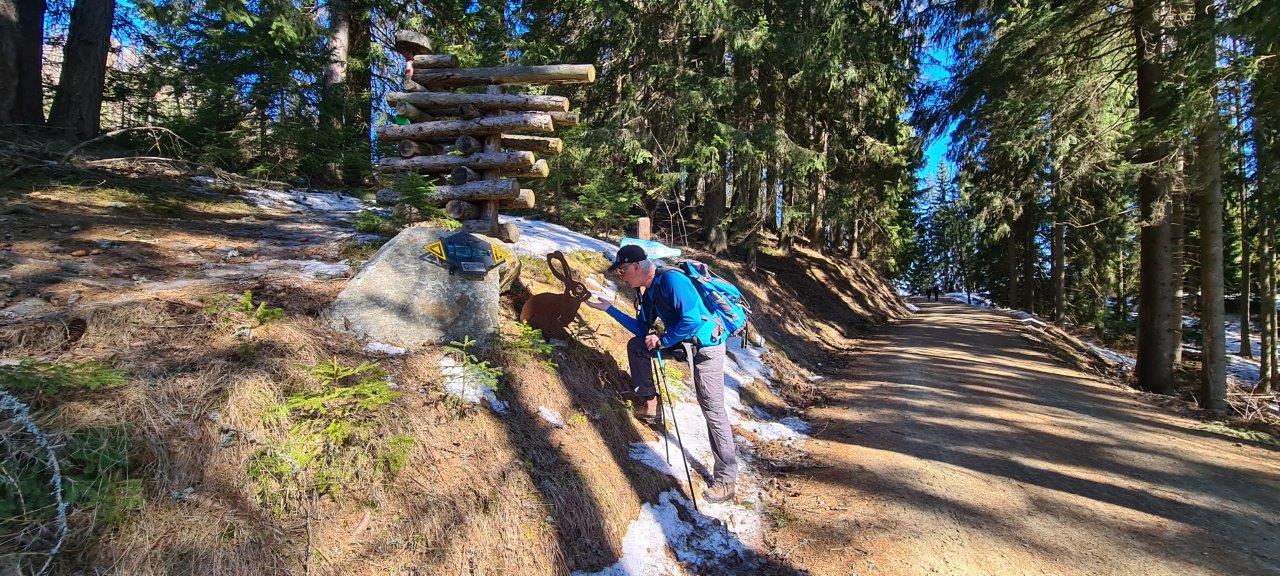 Hocheck Romantic Hike