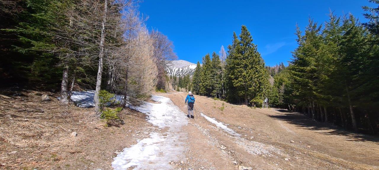 Karl Ludwig Haus Hike