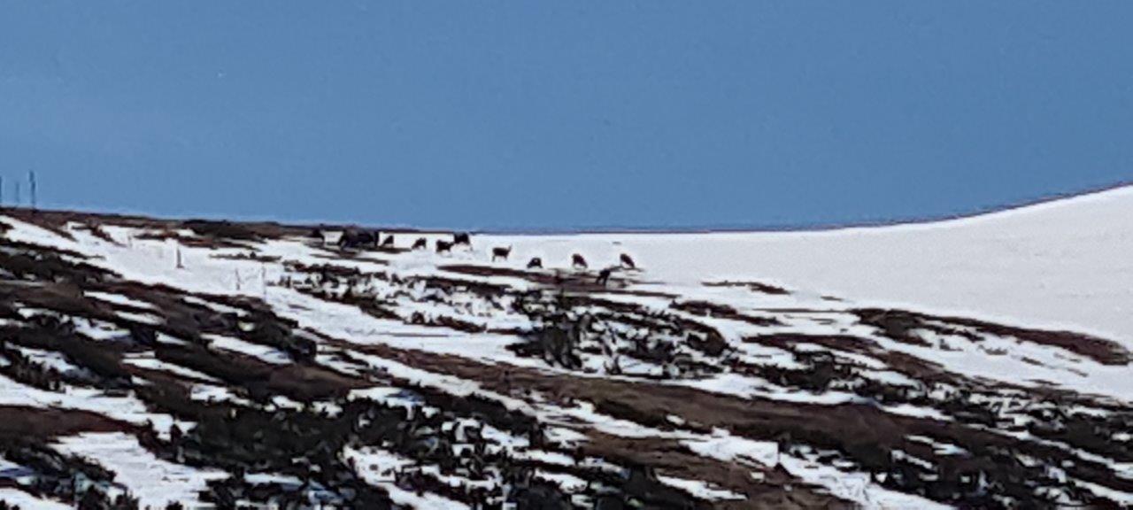 Karl Ludwig Haus Hike