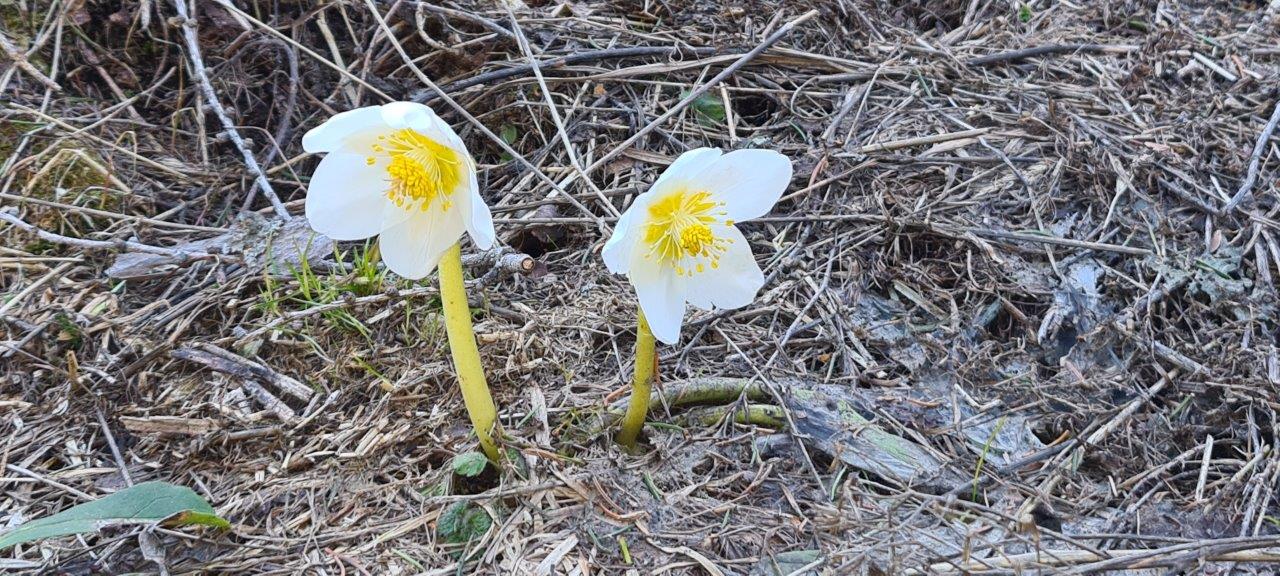Karl Ludwig Haus Hike