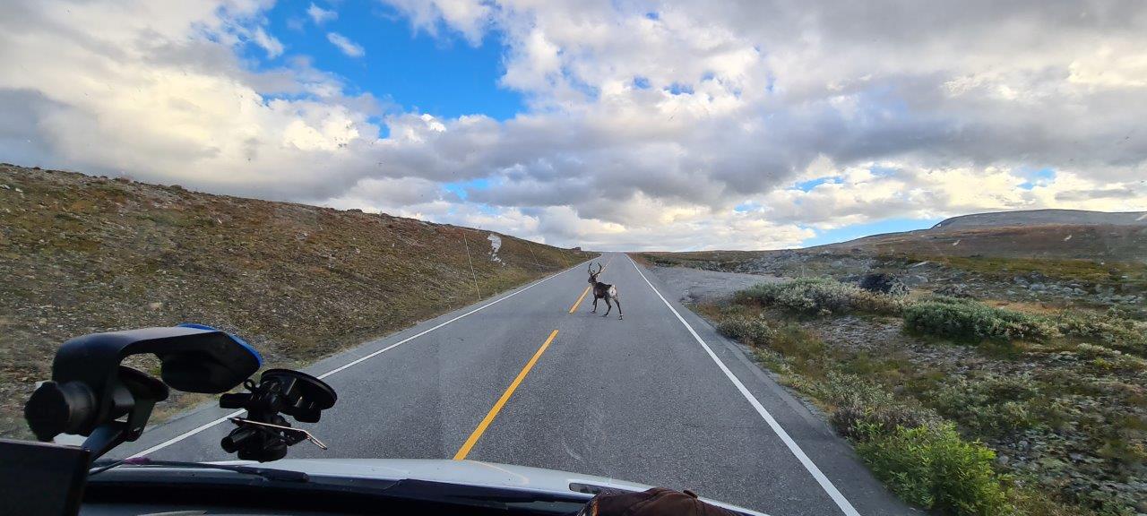 Valdresflye Scenic Route