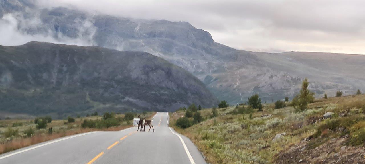 Valdresflye Scenic Route