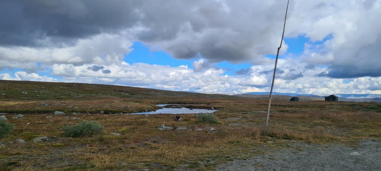 Hardangervidda Scenic Route