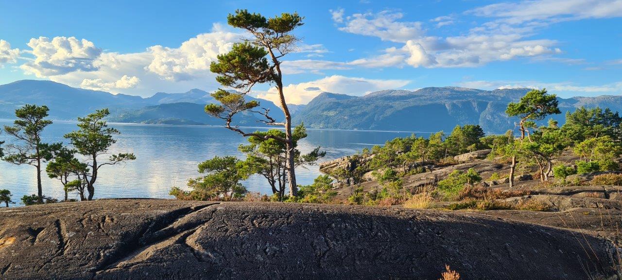 Hardanger Scenic Route