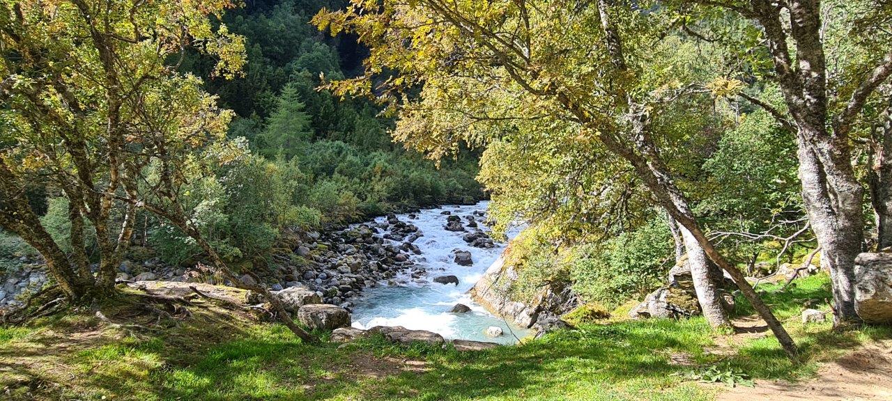 Buerbreen Glacier Hike