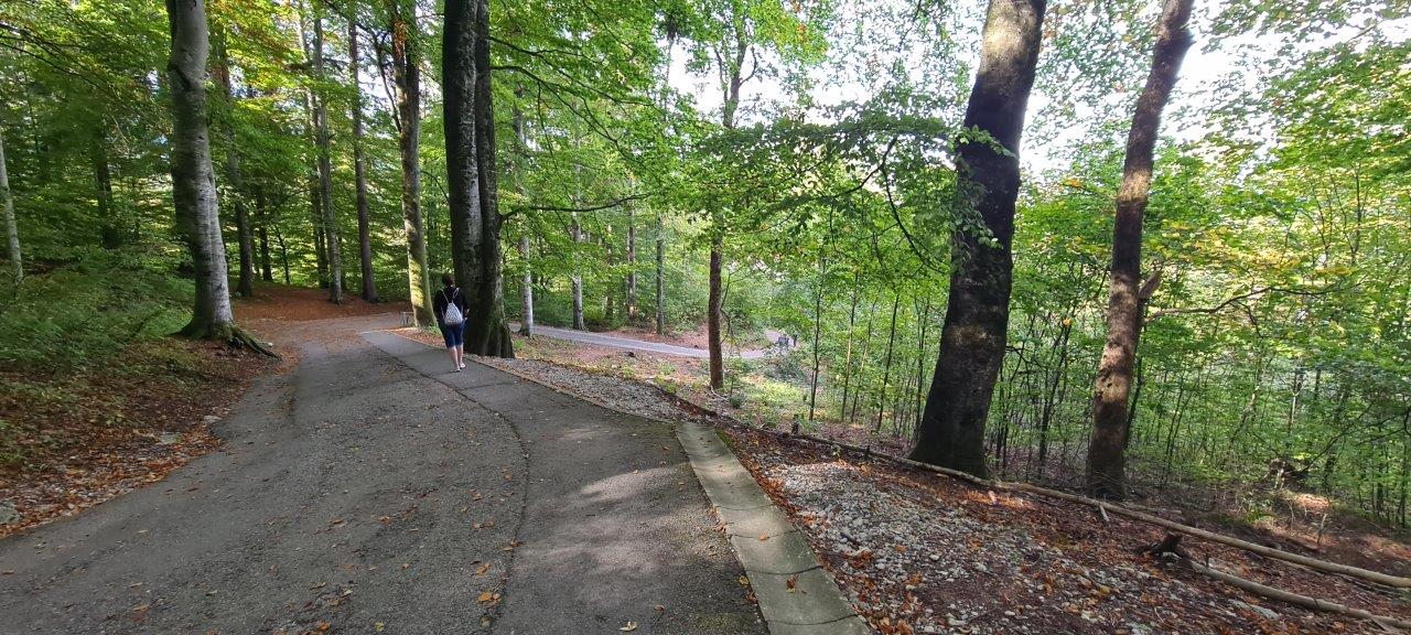 Hochschwanstein walking trail